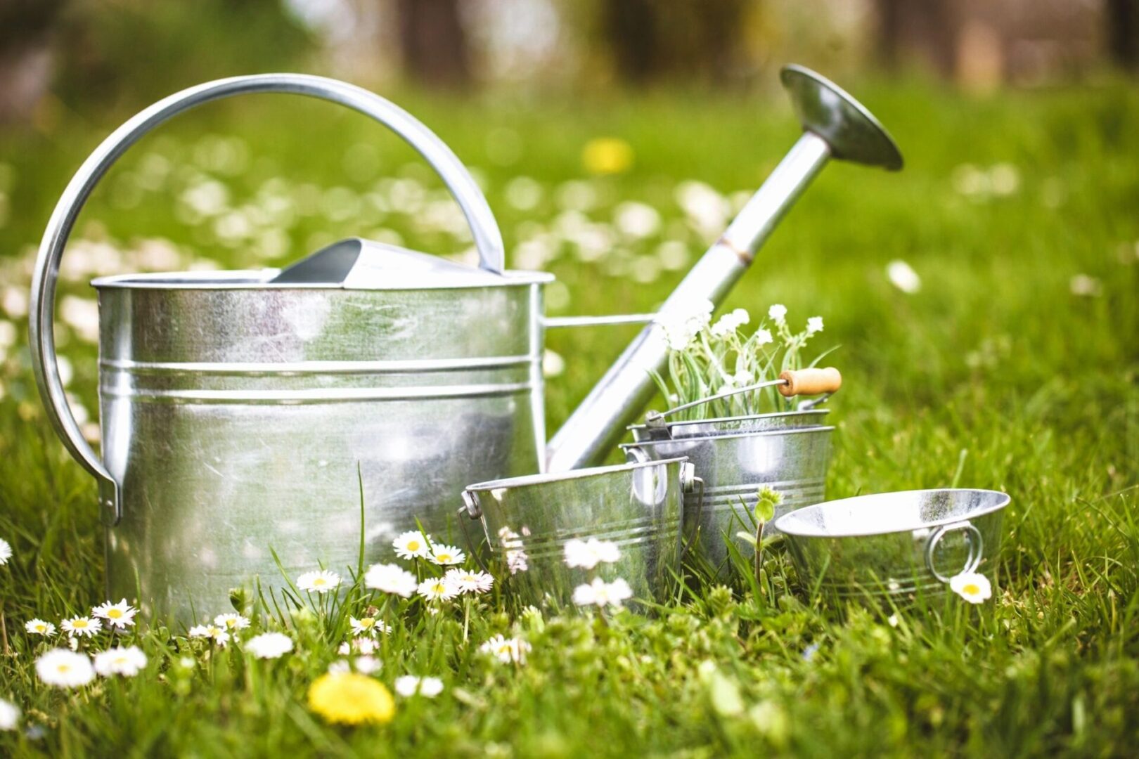 A metal watering can and bucket in the grass.